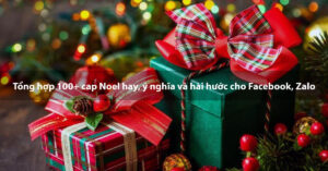 cap noel hay