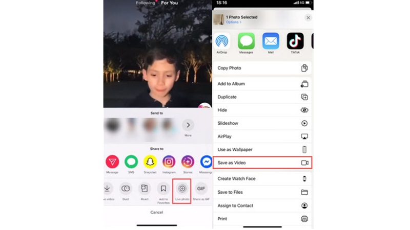 Tải xuống video TikTok không có hình mờ trong Live Photo