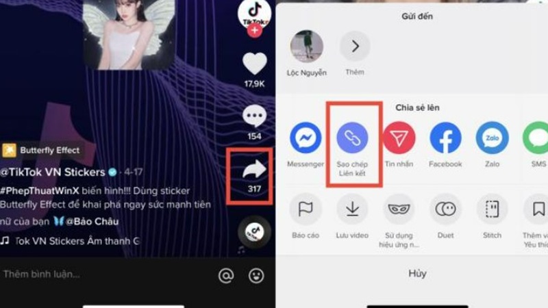 Tải video TikTok Douyin từ SnapTik