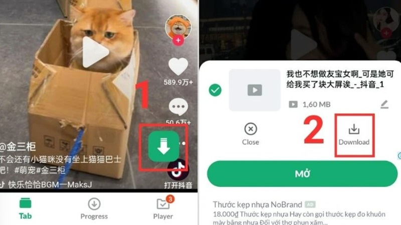 Tải video TikTok Douyin từ SnapTik