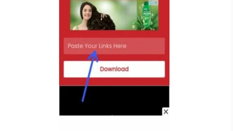 Bước 3: Truy cập Pinterest Video Downloader