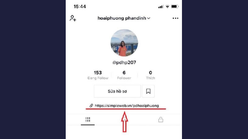 link bio tiktok nằm trong trang cá nhân tài khoản tiktok đó