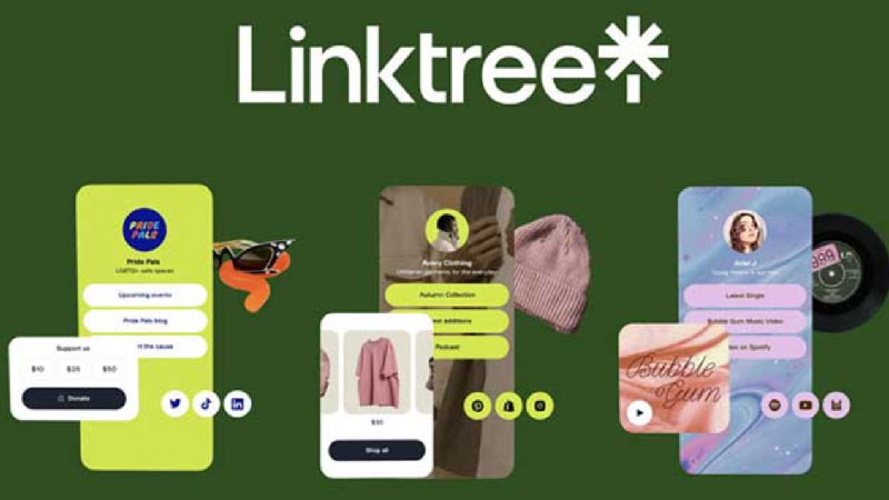 tạo link bio trên tiktok bằng web linktree