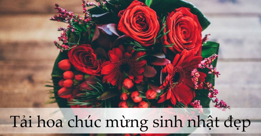 tải ảnh hoa chúc mừng sinh nhật đẹp