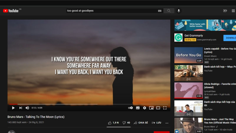 Những lưu ý khi tải phụ đề Youtube