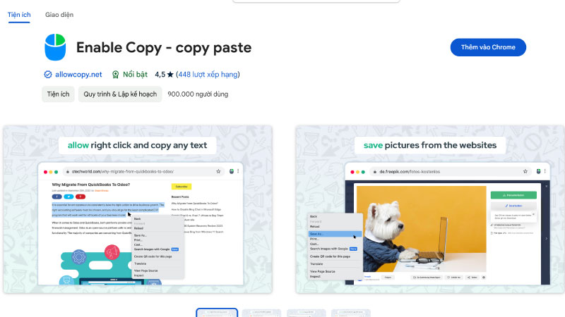 Sử dụng tiện ích mở rộng (Extension) để copy nội dung từ trang web không cho copy