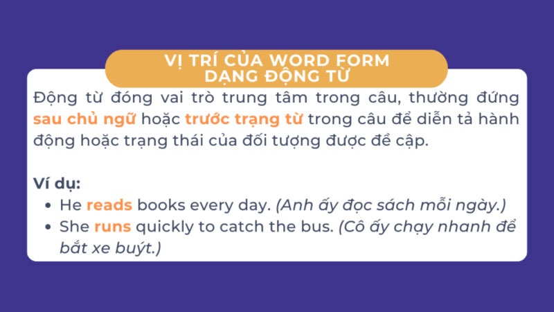 Vị trí của Word Form trong câu