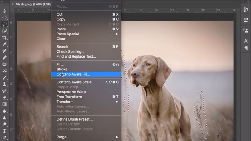 Cách Sử Dụng Content-Aware Fill - Xóa chi tiết trong Photoshop