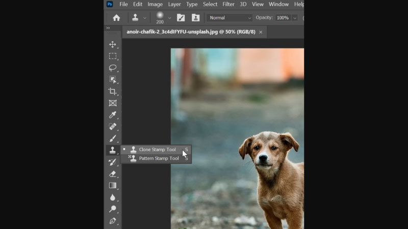 Cách Sử Dụng Clone Stamp Tool - Xóa chi tiết trong Photoshop