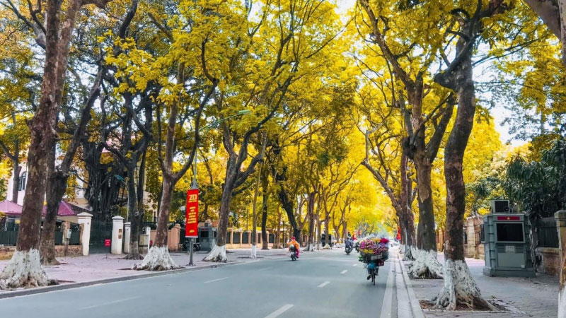 ảnh đường phố 7