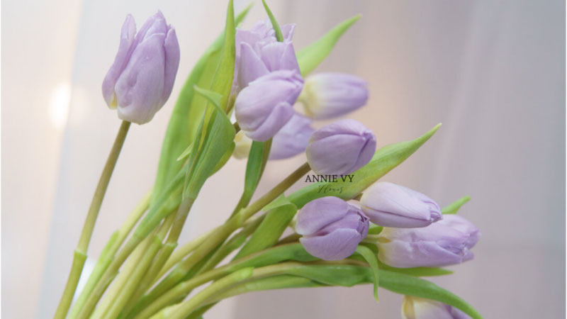 Hình nền hoa Tulip tím – Quý phái, sang trọng