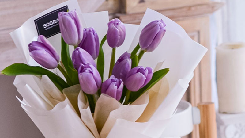Hình nền hoa Tulip tím – Quý phái, sang trọng 2