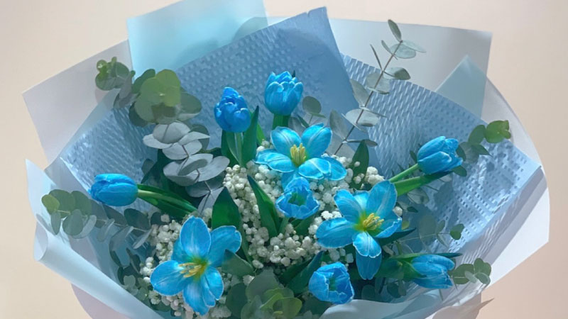 Hình nền hoa Tulip xanh dương – Hiếm có và độc đáo