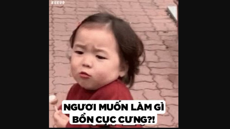 Top 100+ ảnh meme hài hước mới nhất 4