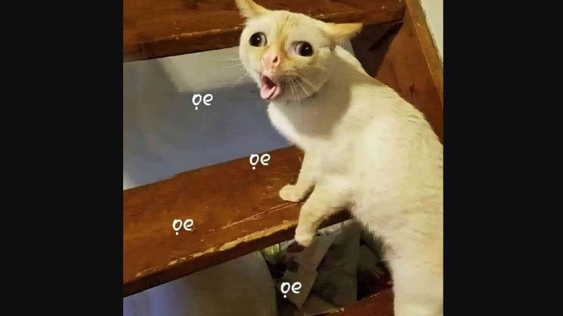 ảnh Meme hài dạng phản ứng