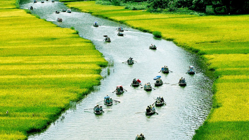 ảnh quê hương 1