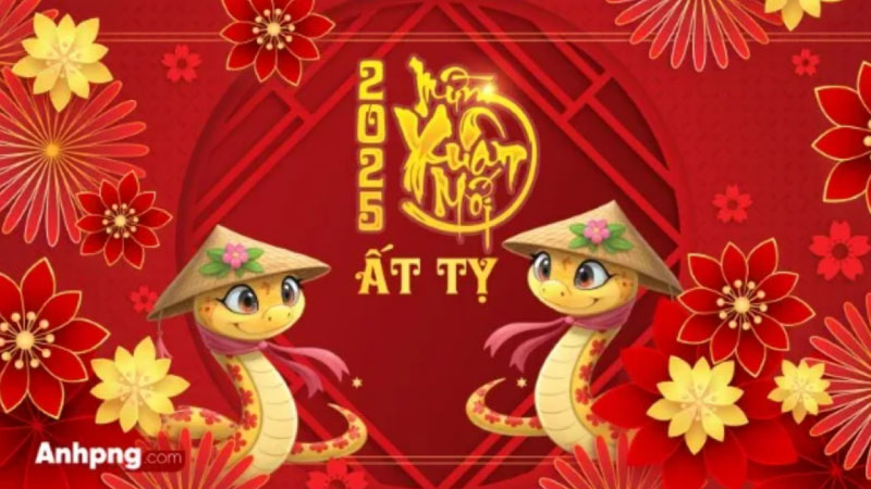 ảnh tết 2025 (1)