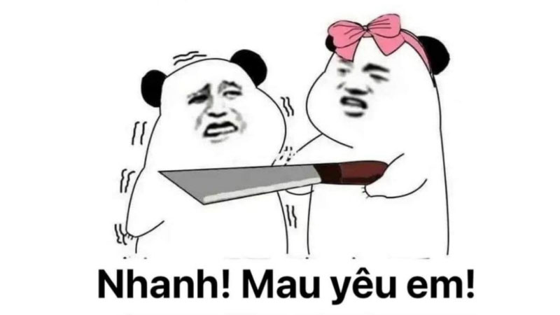 ảnh troll 3
