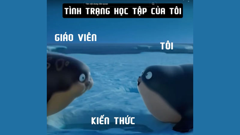 ảnh troll 5