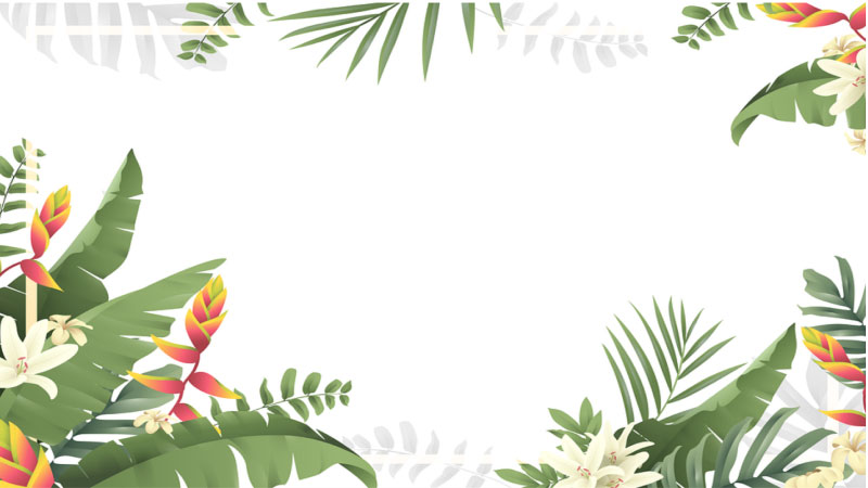 khung ảnh đẹp 33