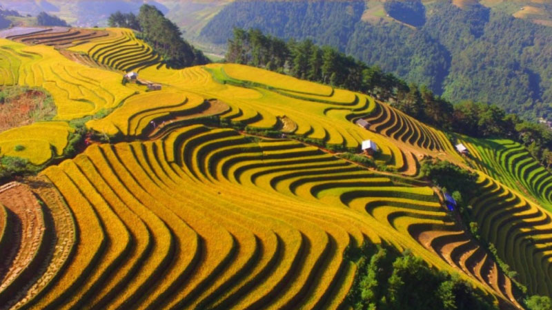 ảnh bình yên 1