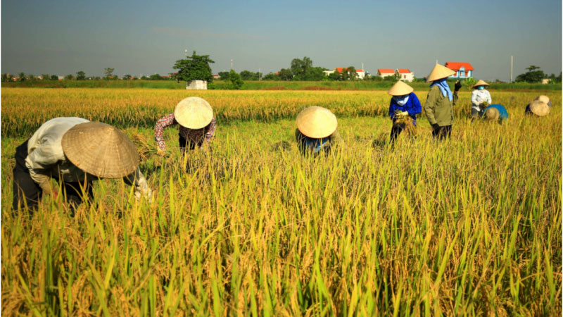 ảnh bình yên 10