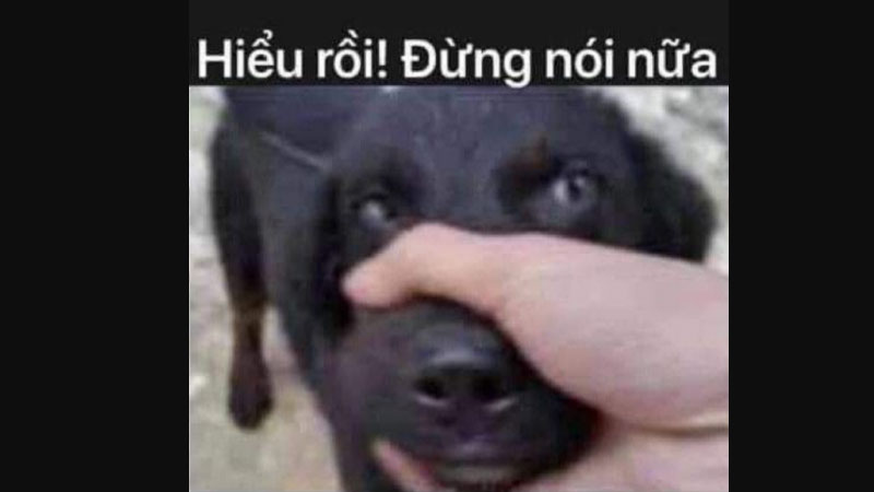 ảnh buồn cười 4