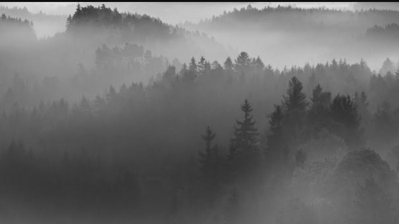 ảnh cảnh buồn 3