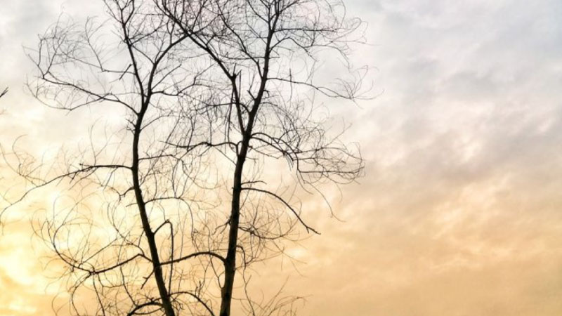 ảnh cảnh buồn 4