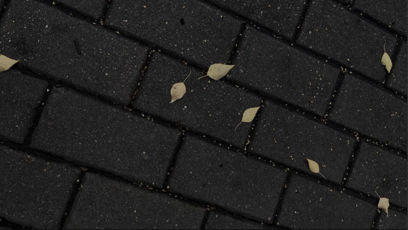 ảnh cảnh buồn 5