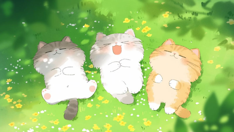 ảnh con mèo cute 3