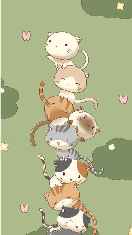 ảnh con mèo cute 8