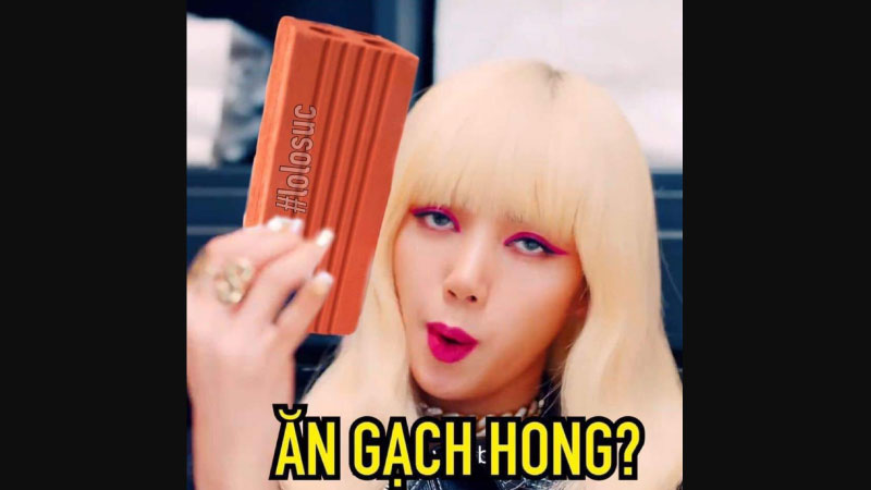 ảnh dìm blackpink 1