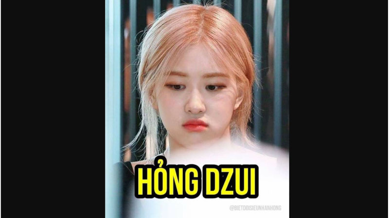 ảnh dìm blackpink 4