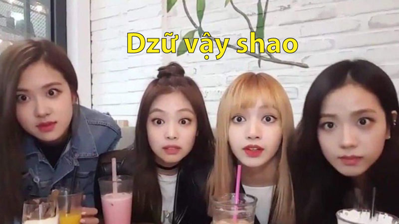 ảnh dìm blackpink 6