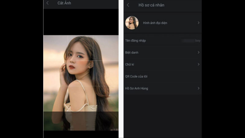 ảnh garena 3