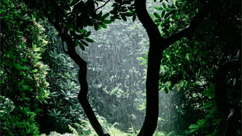 ảnh mưa 3