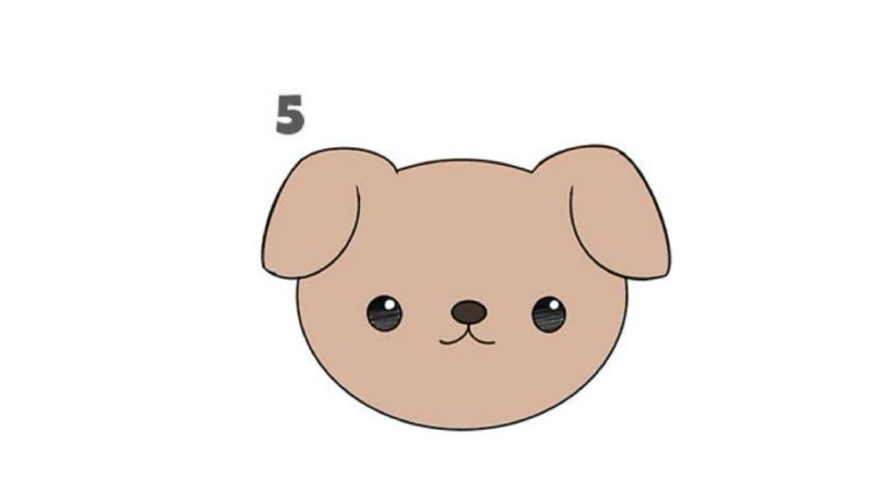 hình ảnh các con vật 6