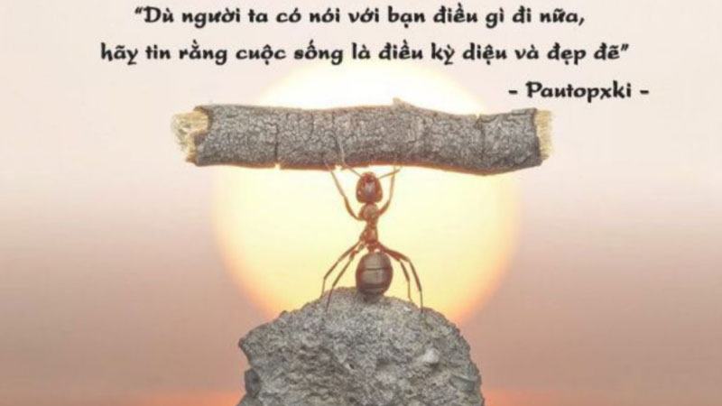 stt vui khi đăng ảnh 3