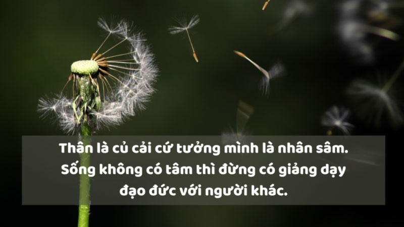 stt vui khi đăng ảnh 12