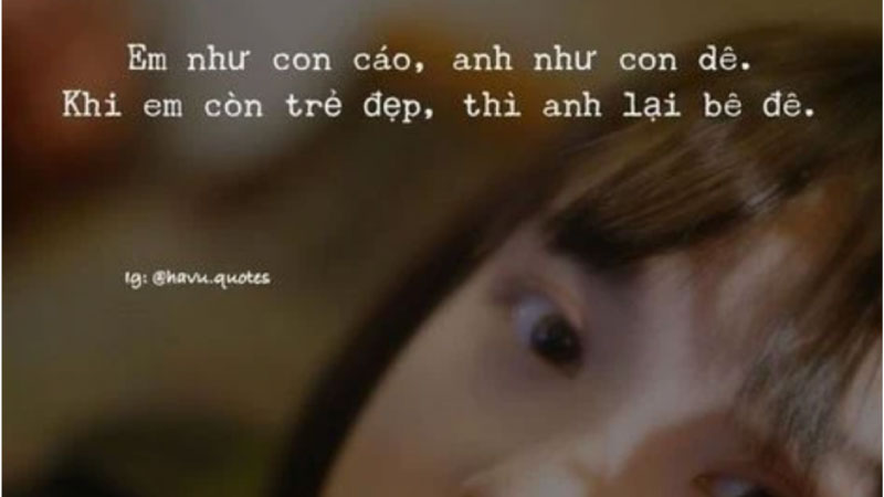 stt vui khi đăng ảnh 15