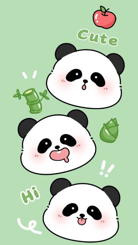 ảnh gấu trúc 3