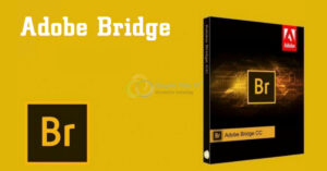 adobe bridge là gì