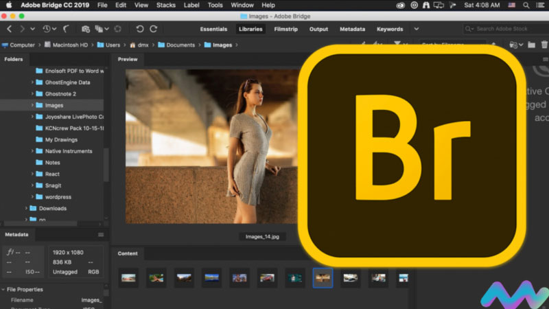 adobe bridge là gì 1