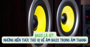 bass là gì