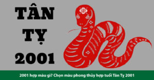 2001 hợp màu gì