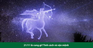 21 11 cung gì