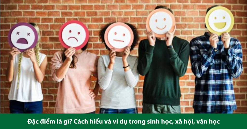 đặc điểm là gì