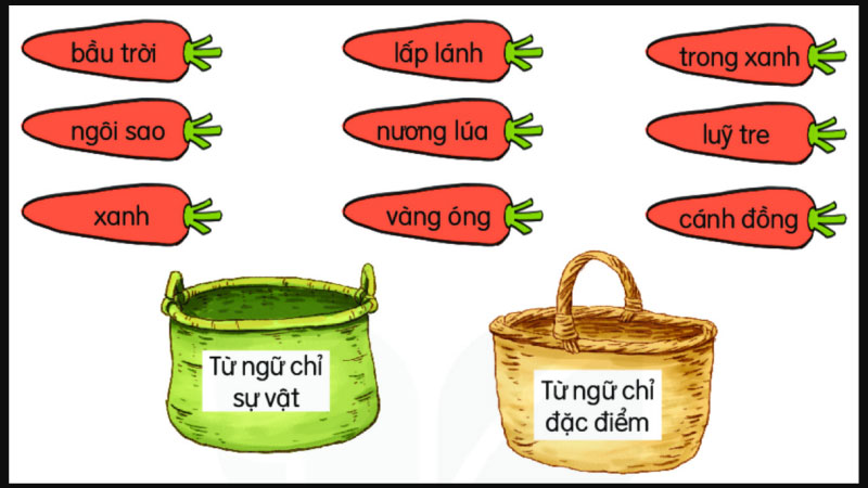 đặc điểm là gì 1