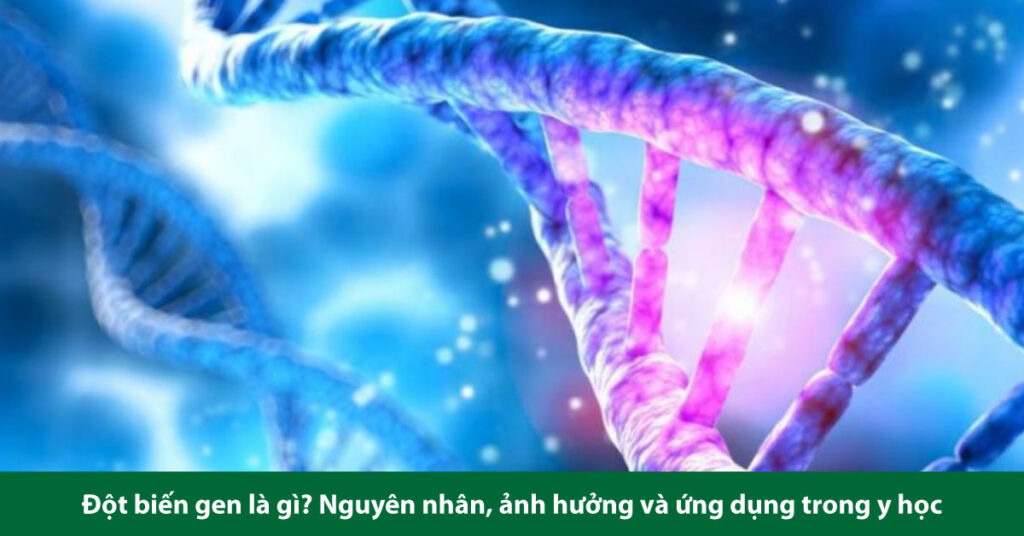 đột biến gen là gì